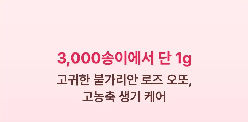 [컬러립밤] 아이소이 립 트리트먼트 밤 5g 5종 상세페이지 15